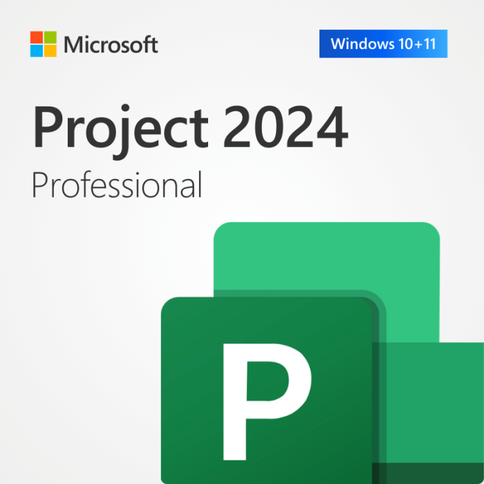 Microsoft Project 2024 Professional Bind Key | Lifetime License | Windows